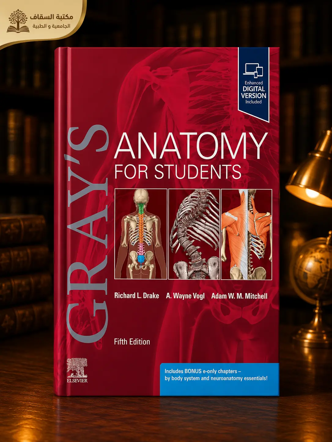 مرجع Gray's anatomy for students 5th edition