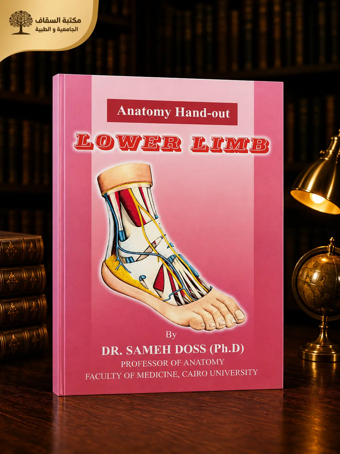 Anatomy of lower limb by Dr. Sameh doss