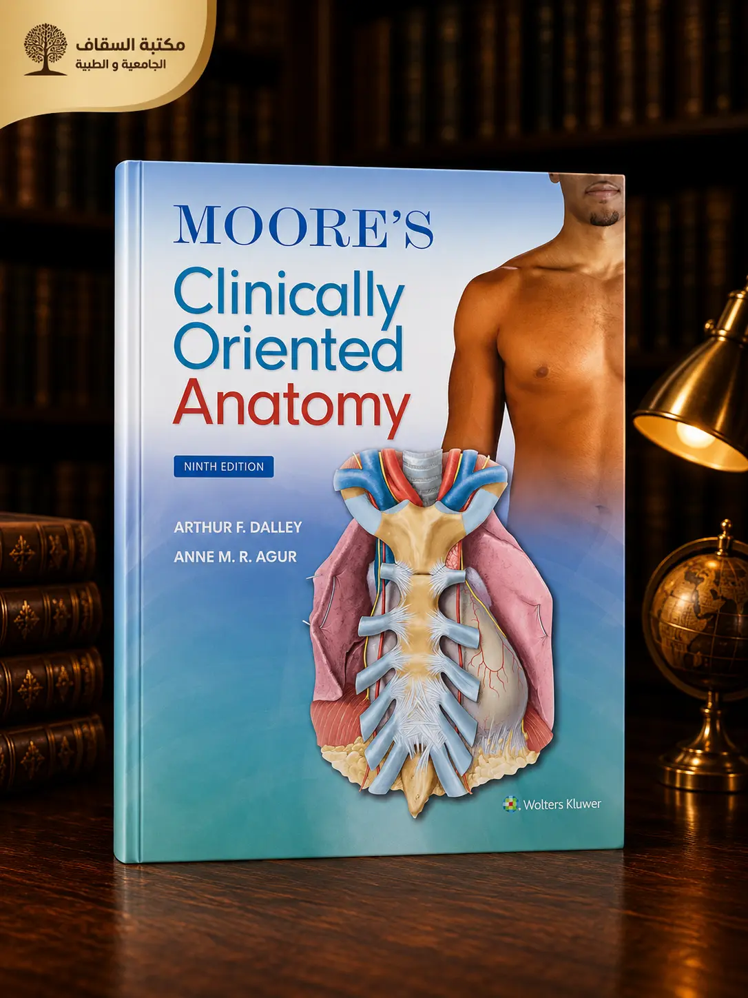 Moore's clinically oriented anatomy 9th edition