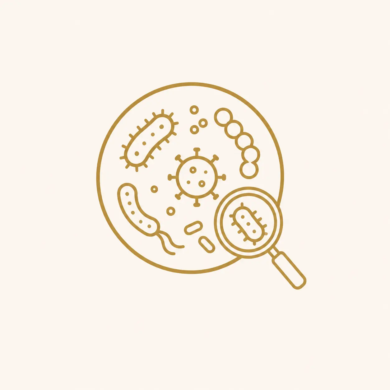 علم الاحياء الدقيقة Microbiology