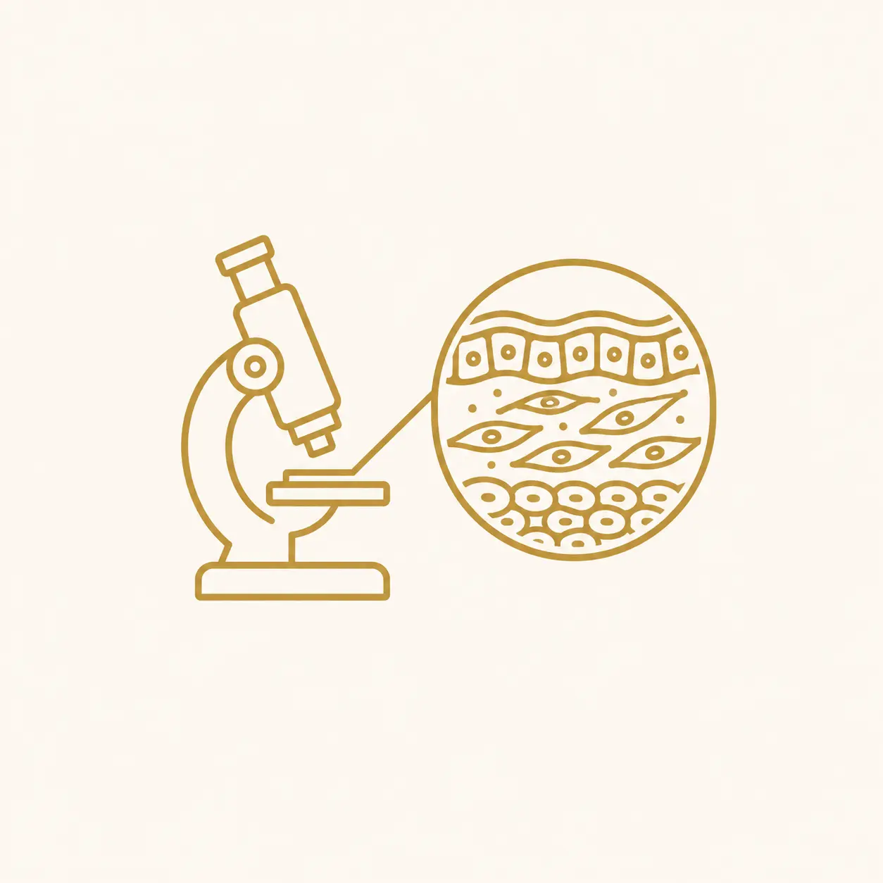 علم الأنسجة Histology